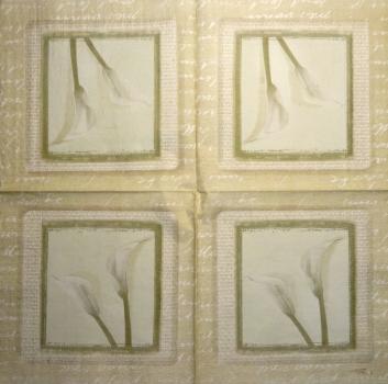 035 Calla - 3-ply